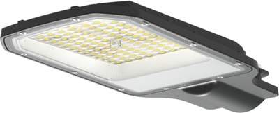 Светильник уличный Neox ДКУ-2L / 4690612057316