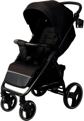 Детская прогулочная коляска Rant Alpine 2025 / RA450 (черный)