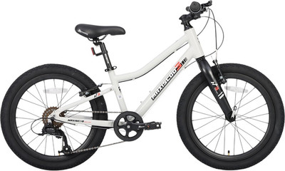 Детский велосипед Maxiscoo 3bike 20 L 2025 / MSC-M3-2003 (серый, разобранный, в коробке)