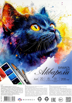 Набор бумаги для рисования Феникс+ Черный котенок / 70474 (20л)