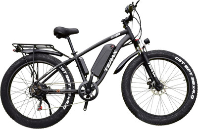 Электровелосипед Terax Neman XD01