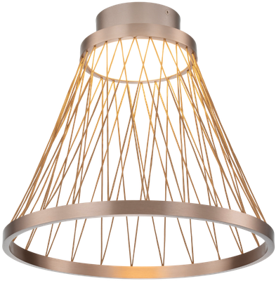 Потолочный светильник Евросвет Cesta 40018/1 LED (коричневый)