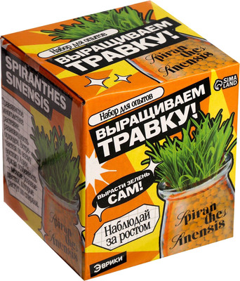 Набор для выращивания растений Эврики Выращиваем травку / 10762661 (оранжевый)