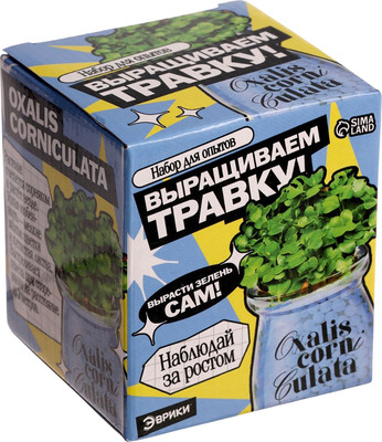 Набор для выращивания растений Эврики Выращиваем травку / 10762663 (голубой)