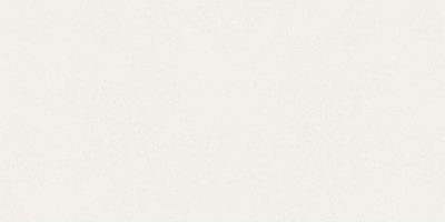 Плитка NewTrend Design Art Base WT36DST00 (300x600)