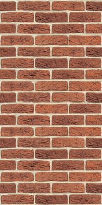 Декоративная плита Везувий Фаспан Декор №1002 Вертикаль 9мм 1200х600 (красный)