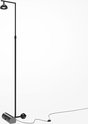 Торшер Maytoni Pikant MOD372FL-L10B3K