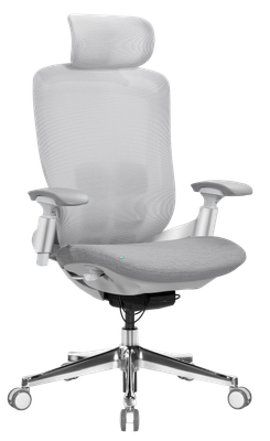 Кресло офисное Sparx FT-17 Goat (белый/серый)