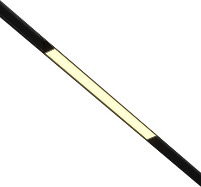 Трековый светильник Maytoni Basis TR030-2-12W2.7K-B