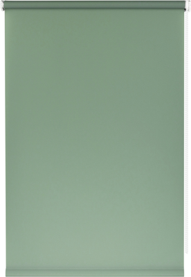 Рулонная штора Franc Gardiner Glasgow 45x160 / 9403219454 (оливковый)