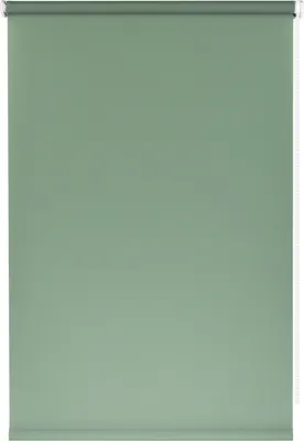 Рулонная штора Franc Gardiner Glasgow 200x175 / 9403219471 (оливковый)