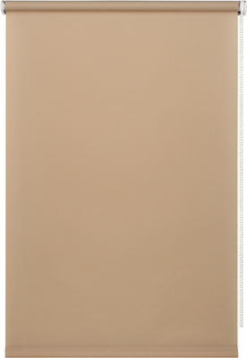 Рулонная штора Franc Gardiner Easy 55x250 / 8316829 (бежевый)