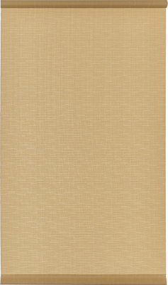 Рулонная штора Franc Gardiner Shantung 60x250 / 8316669 (бежевый)
