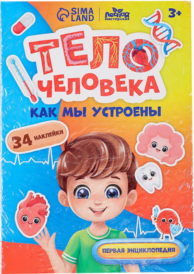 Развивающий игровой набор Лесная мастерская Тело человека / 10326645