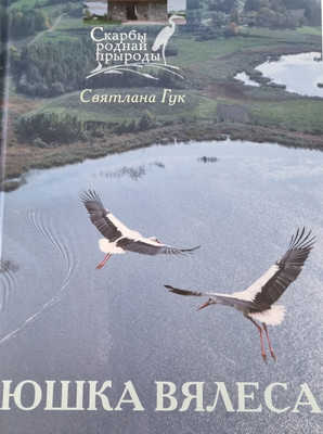 Художественная книга Мастацкая літаратура Юшка Вясела. Аповесць, твердая обложка (Гук Святлана)