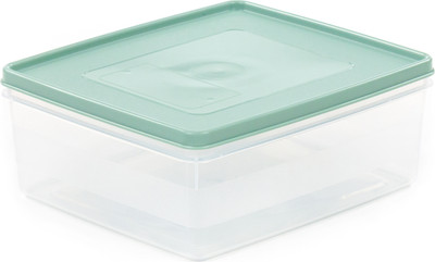 Контейнер Полесье №13 / 08524 (прозрачный/бледно-оливковый)