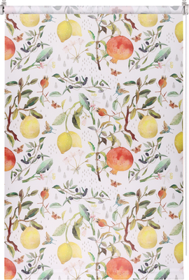 Рулонная штора Franc Gardiner Print Фрукты 120x175 / 9403217897 (мультиколор)