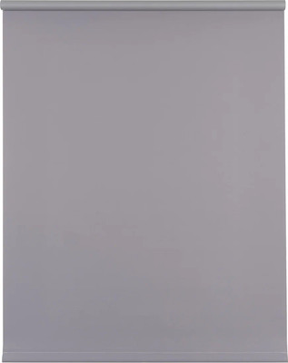 Рулонная штора Franc Gardiner Blackout Color 160x175 / 8311435 (серый)