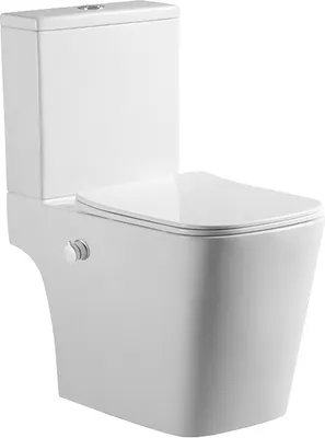Унитаз напольный Amore di Mare N900X Tronto Bidet (с функцией биде)