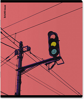 Тетрадь Erich Krause Flash / 63295 (48л, клетка)