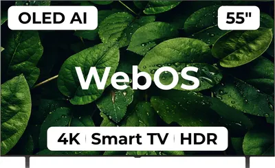 Телевизор LG 55" B5 OLED55B5RLA (OLED)