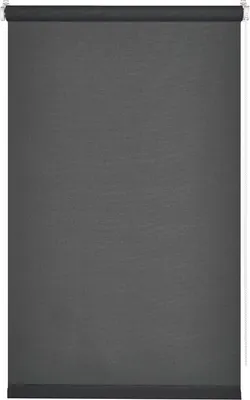 Рулонная штора Franc Gardiner Screen 100x160 / 97282826 (асфальт)