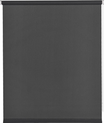 Рулонная штора Franc Gardiner Screen 200x175 / 97282832 (асфальт)