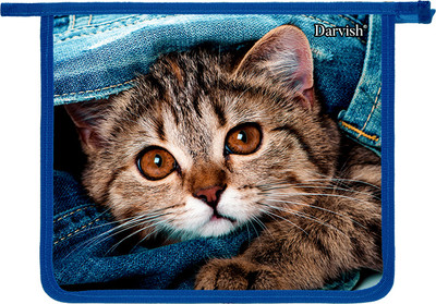 Папка для тетрадей Darvish Котенок DV-14014-8