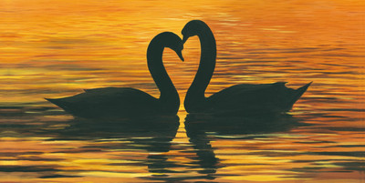 Постер Декарт 8П0016