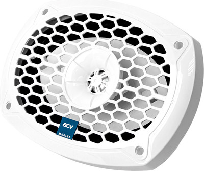 Коаксиальная АС ACV M69