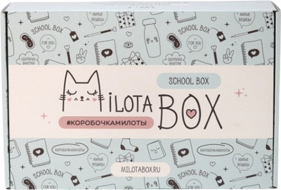 Подарочный набор ILikeGift MilotaBox School Box / MB100