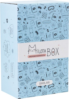 Подарочный набор ILikeGift MilotaBox School Mini / MBS019