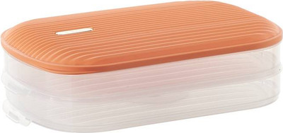 Набор контейнеров ILikeGift Double / 6605-2 (оранжевый)
