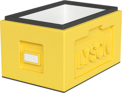 Корпус для улья Lyson Рута Для 6-рамочного улья 435x230 / W1166Y (желтый)