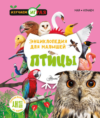 Энциклопедия АСТ Птицы, твердая обложка