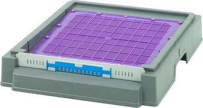 Дно для улья Lyson Для 10-рамочного улья 570x450 / 8051 (серый)