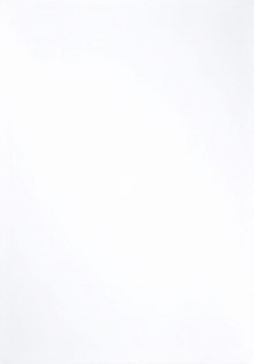 Потолочина для улья Lyson Для 6 рамочного улья / 3183 (прозрачный)