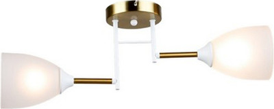 Потолочный светильник Mirastyle SX-N-2216/2 WT+COP