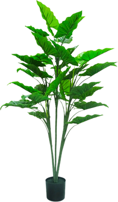 Искусственное растение GreenPark Дерево алоказия / GP-012/140