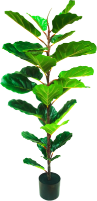 Искусственное растение GreenPark Фикус Лирата / GP-024/120