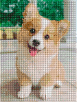 Набор алмазной вышивки РЫЖИЙ КОТ Маленький корги / АЛМ-0081