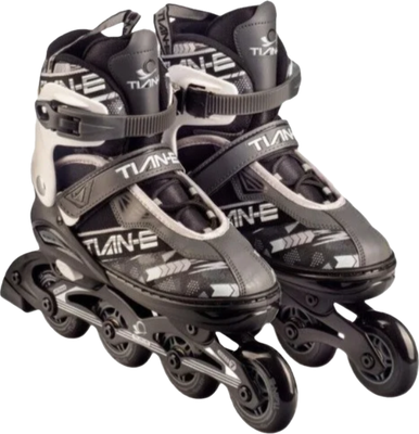 Роликовые коньки TIAN-E TE-781GRL