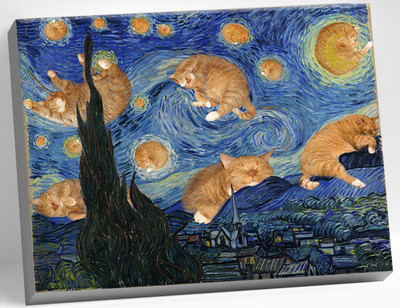 Картина по номерам Молли Пушистая ночь 40x50 / HR0212