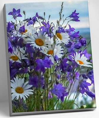 Картина по номерам Молли Полевые цветы 40x50 / HR0258