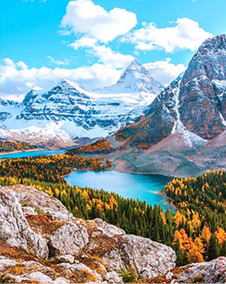 Картина по номерам Молли Скалистые горы 40x50 / HR0624