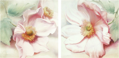 Постеры Декарт 8П0022