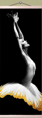 Картина по номерам Флюид Лебединое озеро 23x57 / HRP0139