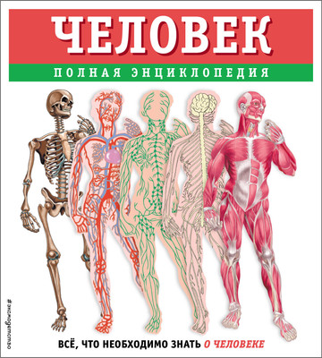 Энциклопедия Эксмо Человек. Полная энциклопедия, твердая обложка (Школьник Юлия)