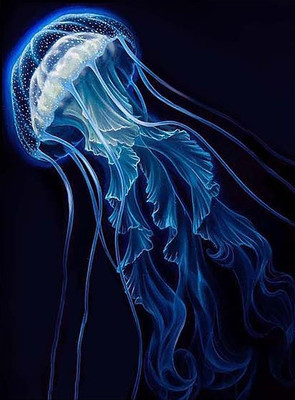 Картина по номерам Молли Красивая медуза 40x50 / FHR0584