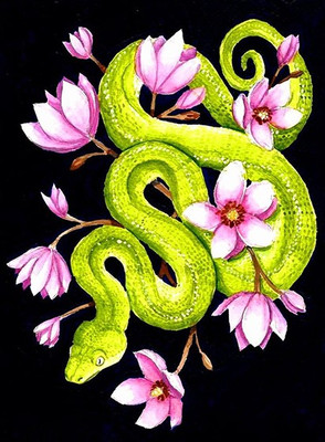 Картина по номерам Молли Питон в цветочном эдеме 40x50 / FHR0615